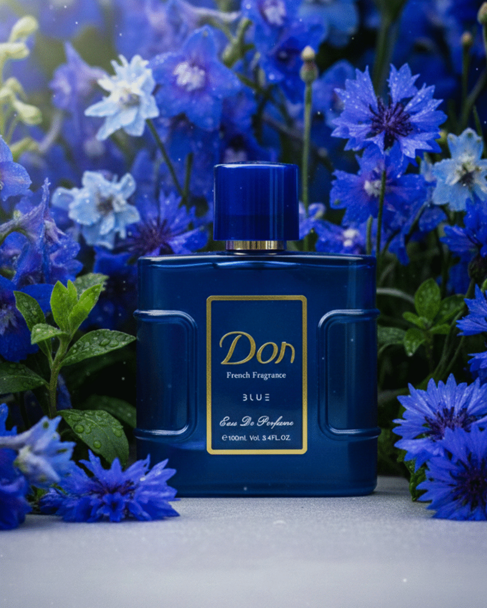 Shop Primary Image Shop Primary Image